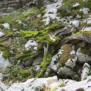 Supramonte , Orgosolo Italia