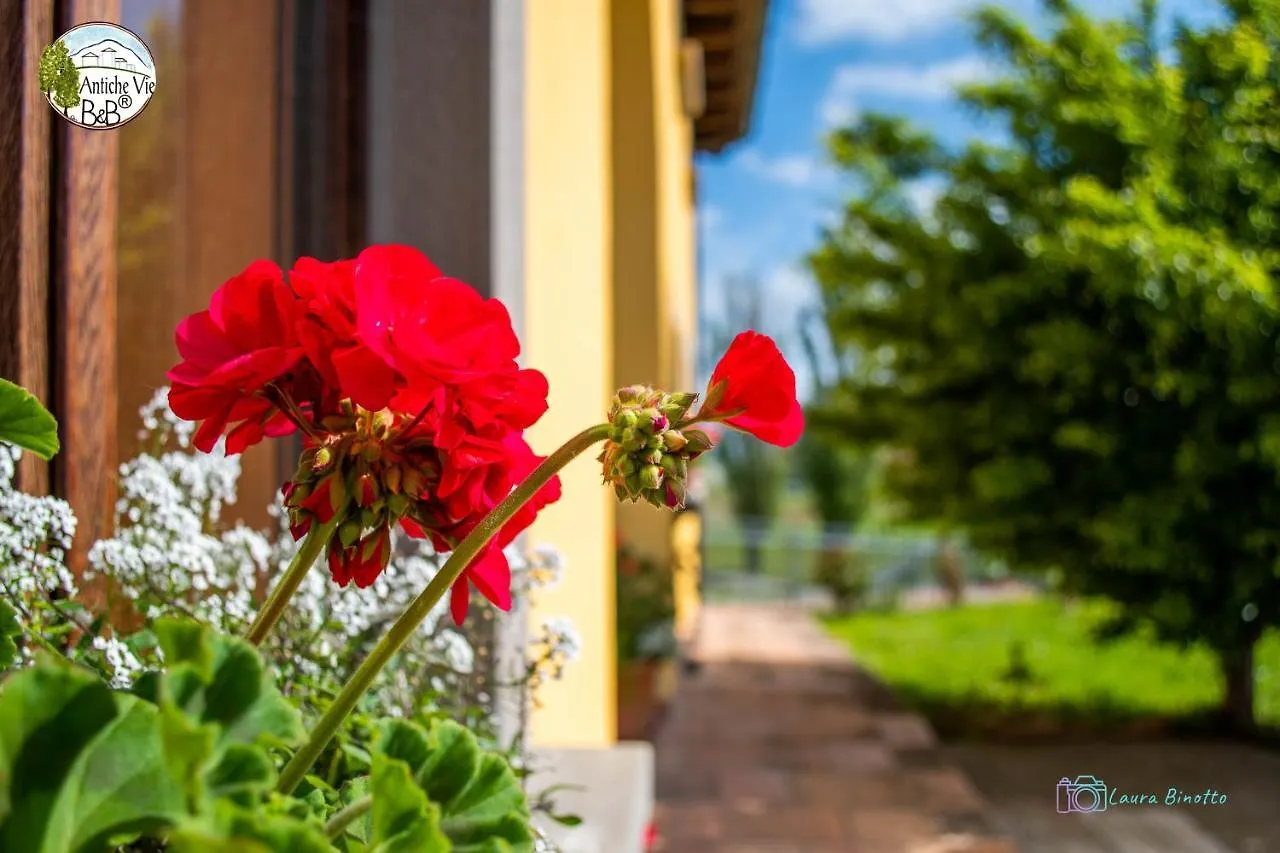 Antiche Vie B&B Serramazzoni 0*,  Italia